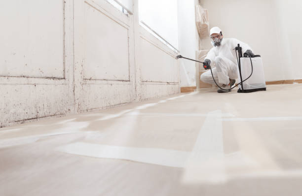 24/7 Emergency Attic Mold Remediation experts in Annandale, VA